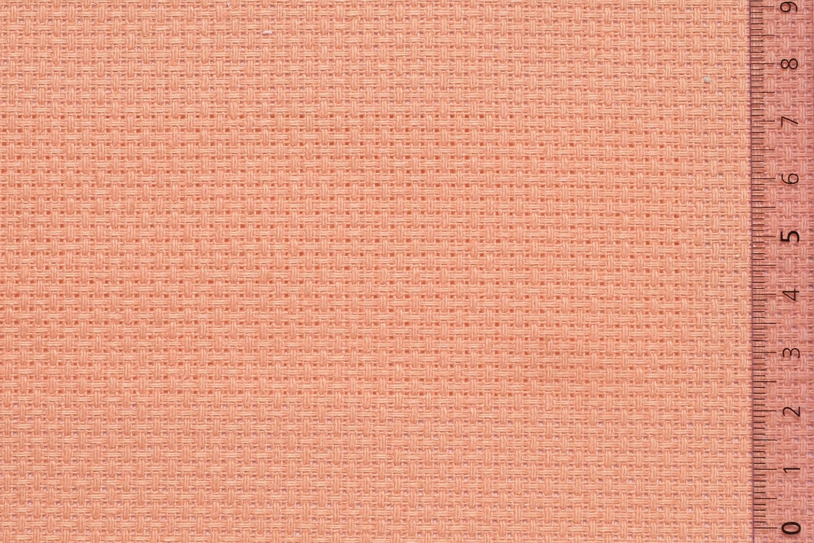 06AID40SALxxxCOT[AIDAMAS 40](SALMON)F